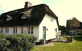 Reetdach Friesenhof Süderende